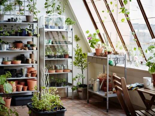 Reoler med planter på atelier.