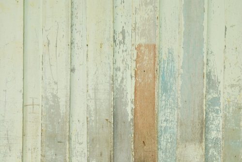 Grøn trævæg - træ til vægge og gulve.