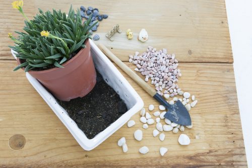 Små sten og blomsterpotter.