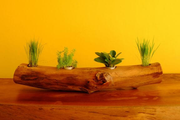 Vandret træstamme til potteplanter.