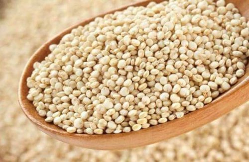 En skål med hirsefrø, der kan bruges som fyld i varmeposer