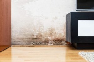 Fugtproblemer i væggene: Sådan løser du problemet