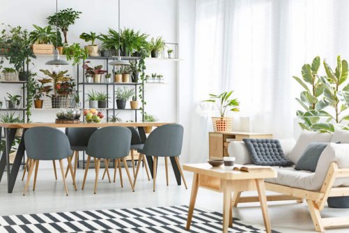 spisestue med mange planter