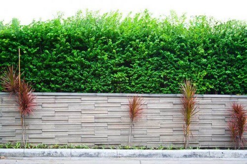 Havevæg lavet af stenplader