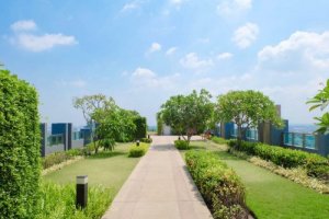 Grønt tag: Alt du skal vide om det