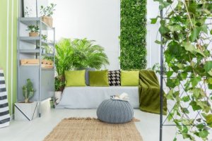 Hvordan du vedligeholder din vertikale have