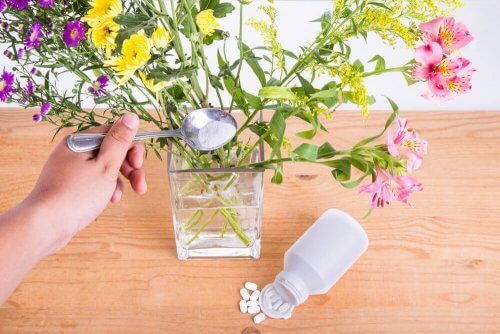 hydrering af friske blomster