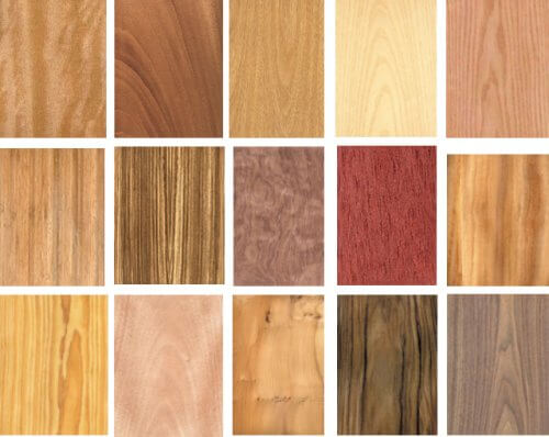 forskellige slags træ