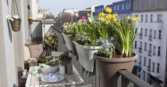 blomsterpotter på balkon