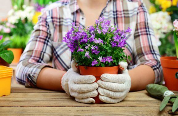 kvinde der holder blomsterkrukke