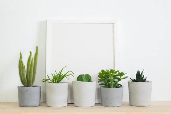 personlige blomsterpotter