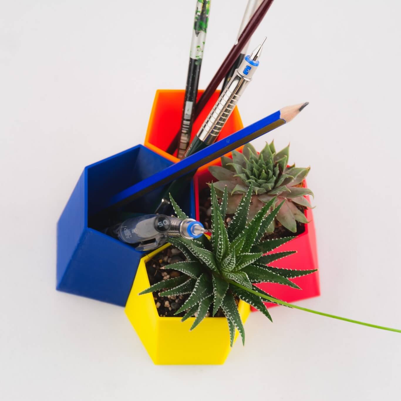 En scutoid skrivebords-arrangør.