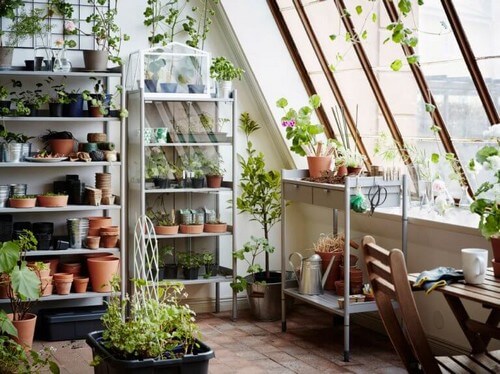 Drivhus med mange urter