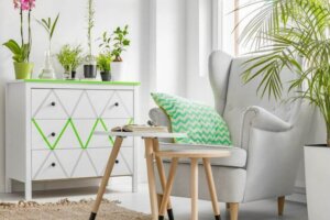 Plante og blomster kombinationer til din indretning