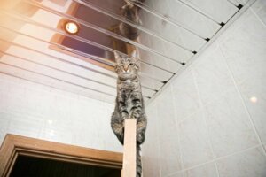 3 vejledninger til spejle i loftet