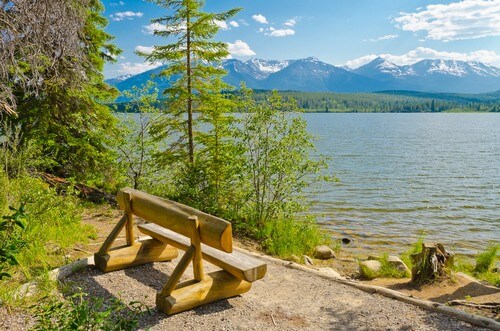 Træbænk med flot udsigt over vandet