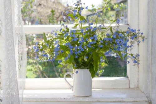 blomster i vindue
