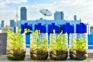 11 tricks til at reducere plastikspild i hjemmet