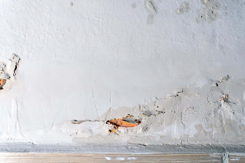 væg med fugtproblemer