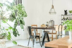 Indretningsdesign der bruger planter som dekoration