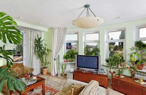 stue med et grønt touch