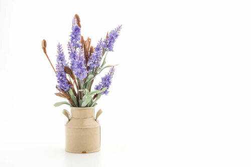 buket med lilla blomster