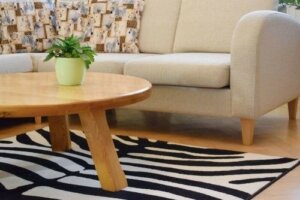 Zebrastriber i boligindretningen: Sådan gør du