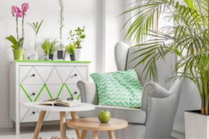 Tips til at dekorere med farverige planter og blomster