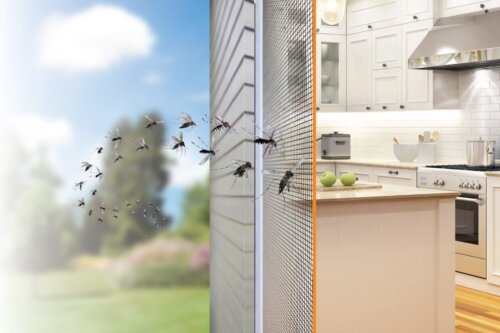 Insektnet holder insekter ude